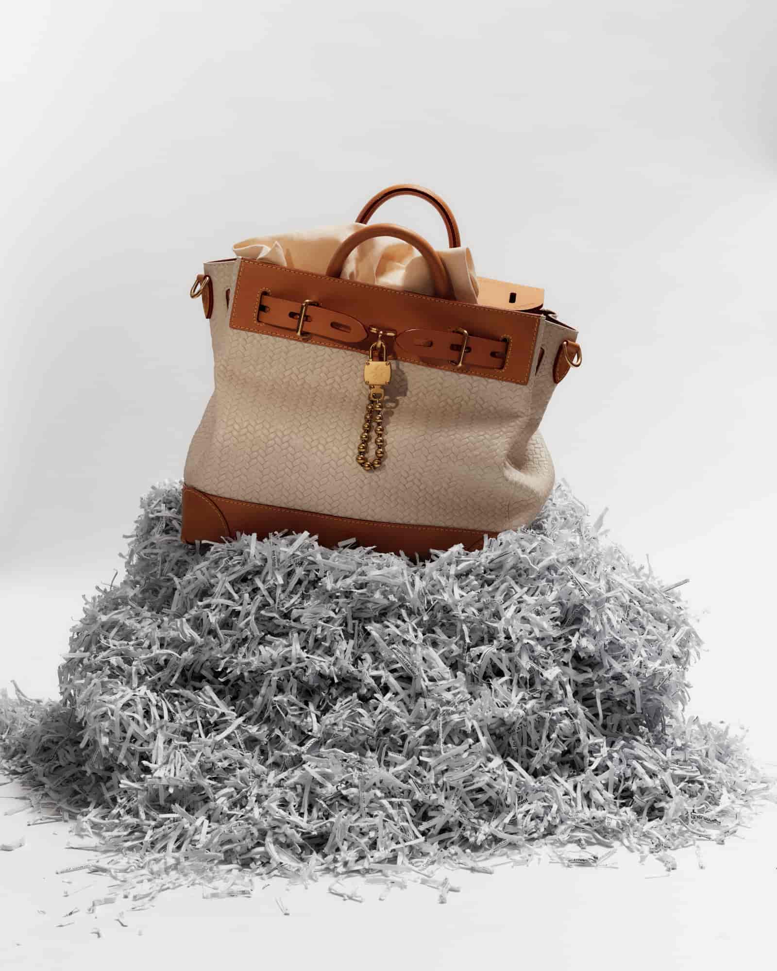 JOSH DAVID PAYNE LV X ROLLACOASTER MAGAZINE | COLLAB.