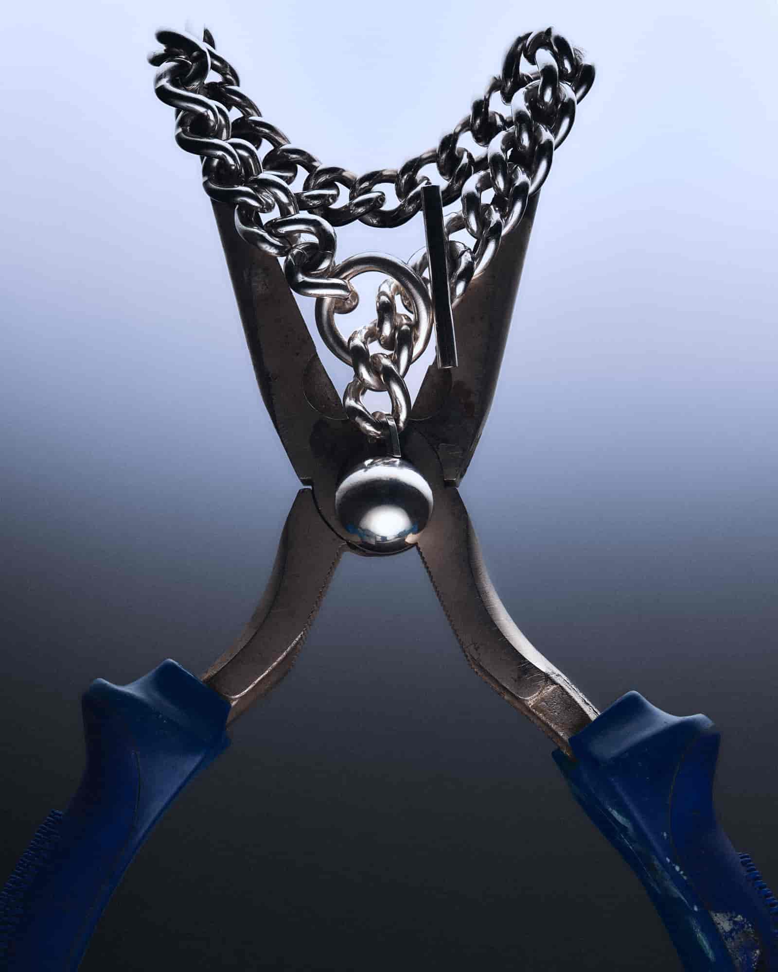 FRASER CHATHAM CC-STEDING | COLLAB.