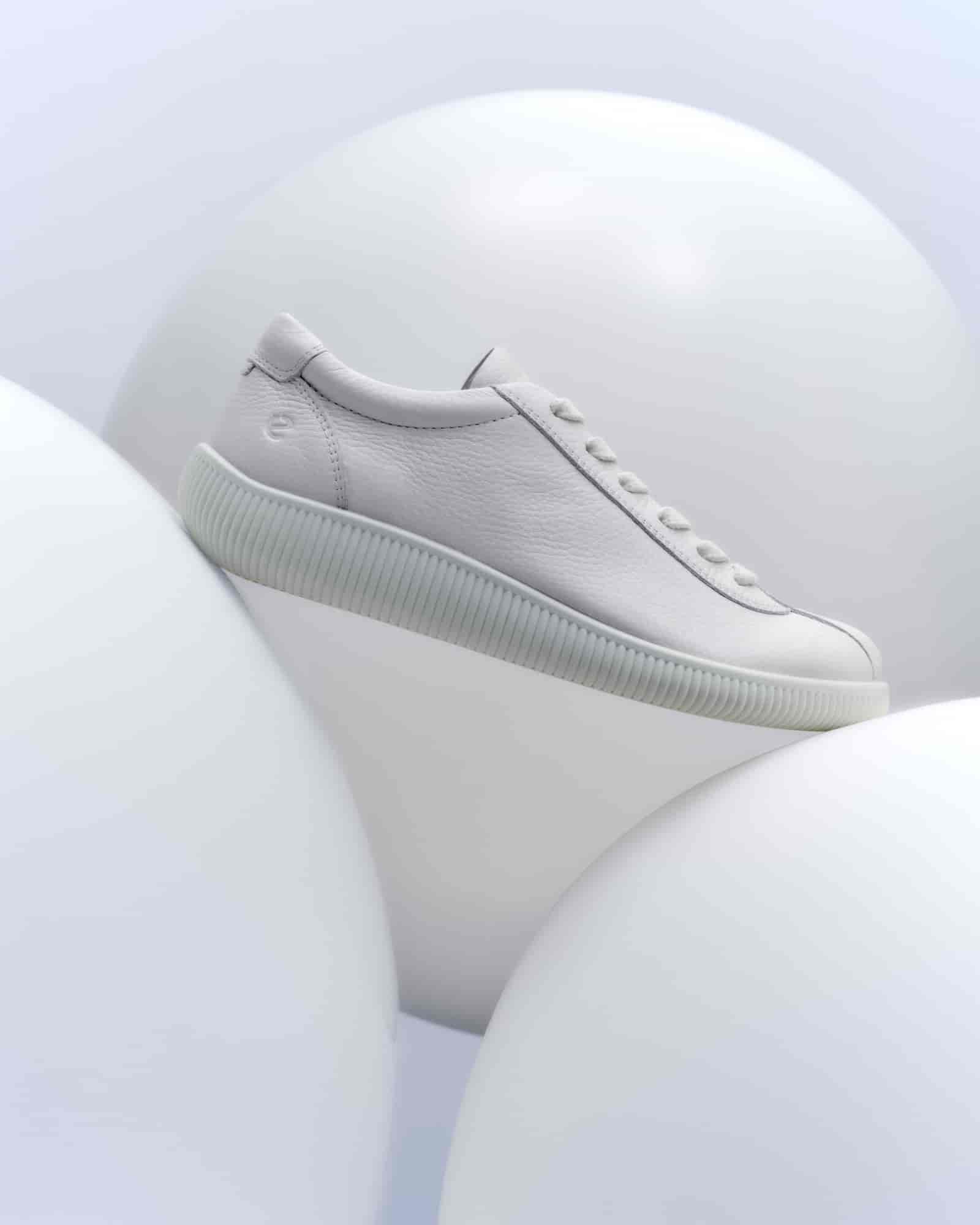 DANIEL MOLINA ECCO SOFT | COMM.