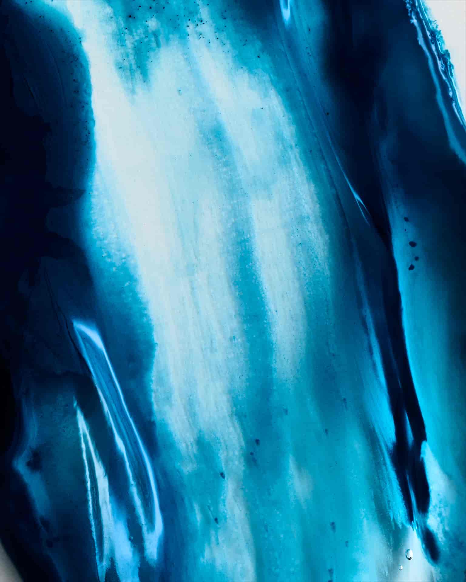 BAKER & EVANS FLOWERS & TEXTURES | P.P.